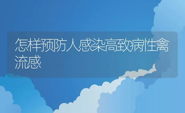 怎样预防人感染高致病性禽流感 | 动物养殖学堂