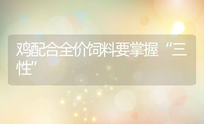 鸡配合全价饲料要掌握“三性” | 动物养殖饲料