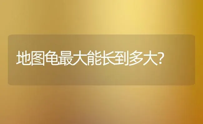 国家一级保护兔子有哪几种？ | 动物养殖问答