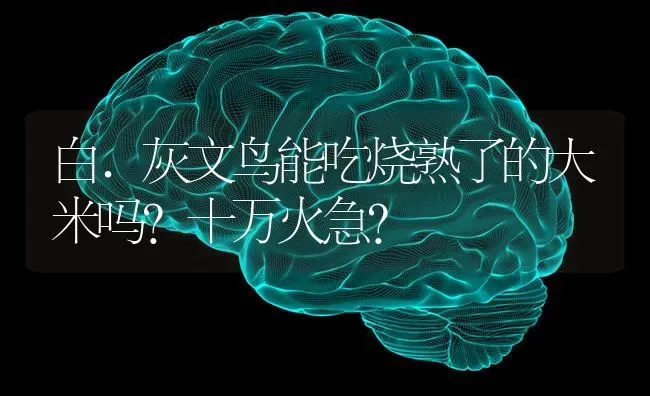 白.灰文鸟能吃烧熟了的大米吗?十万火急？ | 动物养殖问答