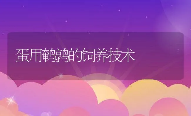 蛋用鹌鹑的饲养技术 | 水产养殖知识