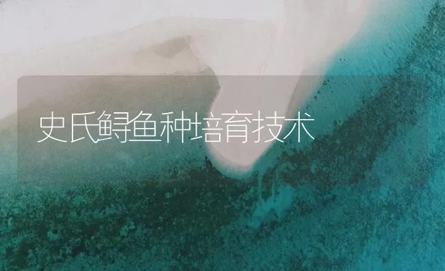 史氏鲟鱼种培育技术 | 海水养殖技术