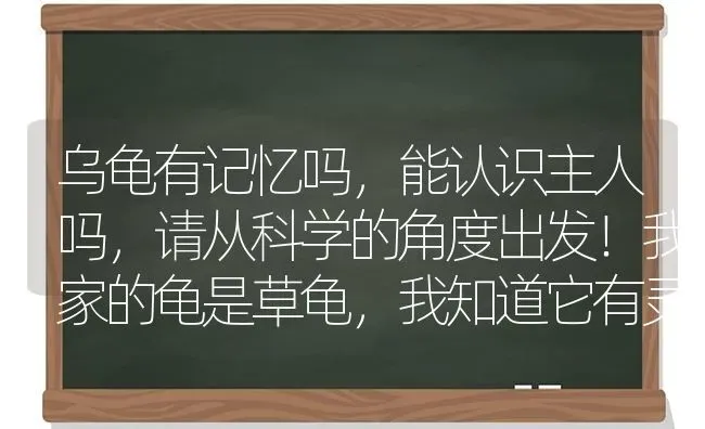 乌龟有记忆吗，能认识主人吗，请从科学的角度出发！我家的龟是草龟，我知道它有灵性？ | 动物养殖问答