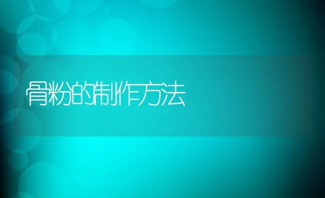 骨粉的制作方法 | 动物养殖饲料