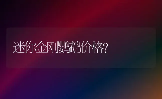 迷你金刚鹦鹉价格？ | 动物养殖问答