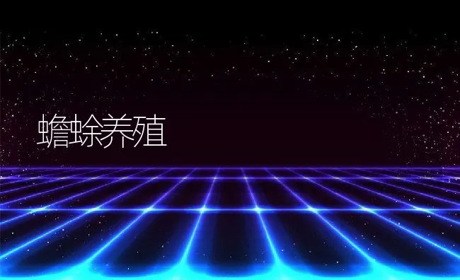 蟾蜍养殖 | 动物养殖学堂