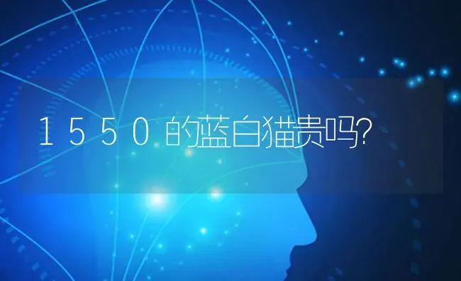 1550的蓝白猫贵吗？ | 动物养殖问答