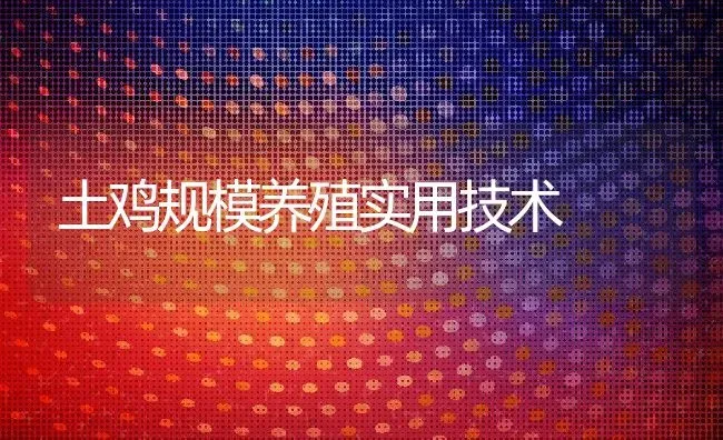 土鸡规模养殖实用技术 | 动物养殖教程