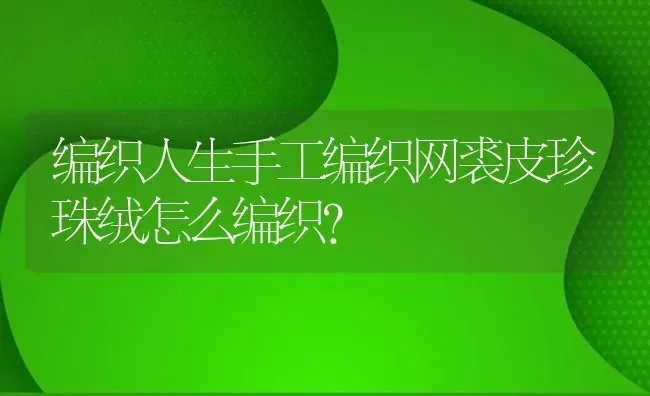 编织人生手工编织网裘皮珍珠绒怎么编织？ | 鱼类宠物饲养