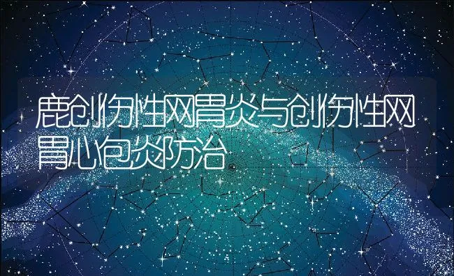 鹿创伤性网胃炎与创伤性网胃心包炎防治 | 动物养殖学堂