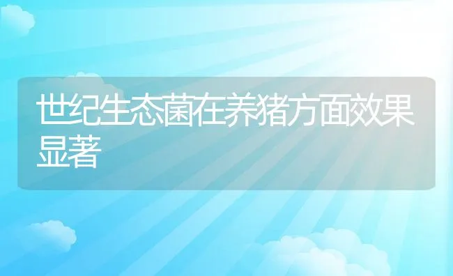 世纪生态菌在养猪方面效果显著 | 动物养殖饲料