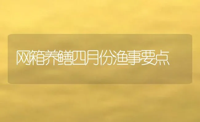 网箱养鳝四月份渔事要点 | 动物养殖饲料