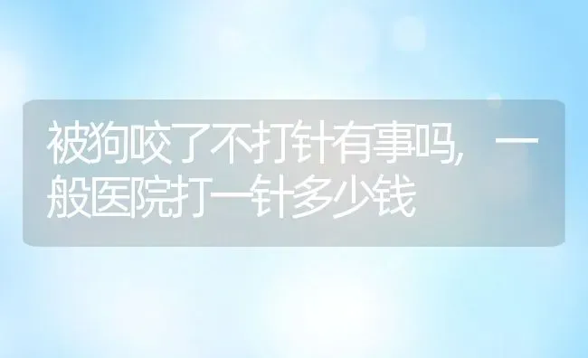 被狗咬了不打针有事吗,一般医院打一针多少钱 | 宠物百科知识