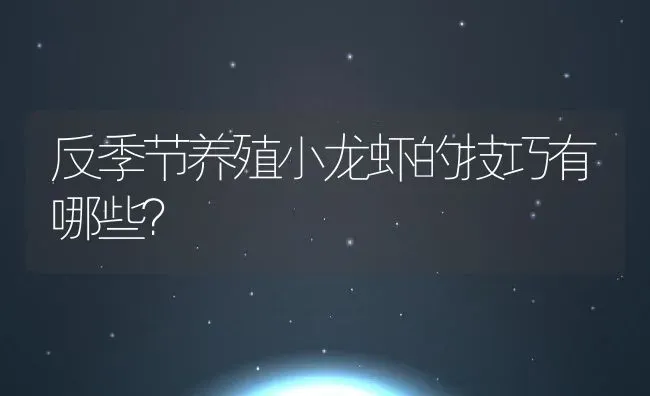 反季节养殖小龙虾的技巧有哪些？ | 动物养殖百科