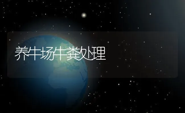 养牛场牛粪处理 | 动物养殖百科