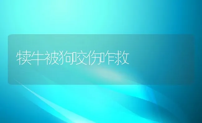 犊牛被狗咬伤咋救 | 水产养殖知识