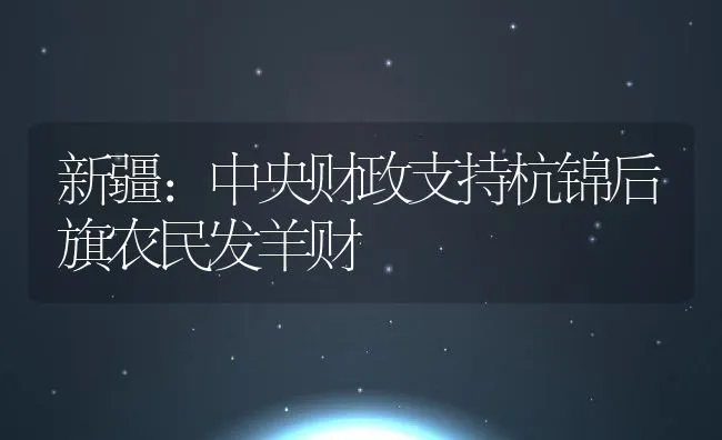 新疆：中央财政支持杭锦后旗农民发羊财 | 动物养殖饲料