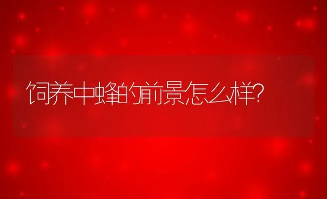 饲养中蜂的前景怎么样？ | 动物养殖百科