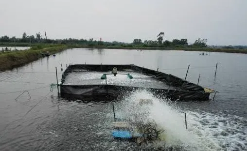 水质调控决定大棚对虾养殖成败，PH+水温+氨氮+亚硝四大参数指标