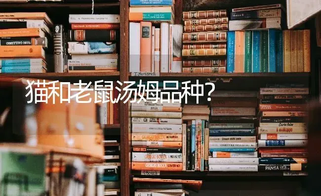 大了土狗难教吗？ | 动物养殖问答