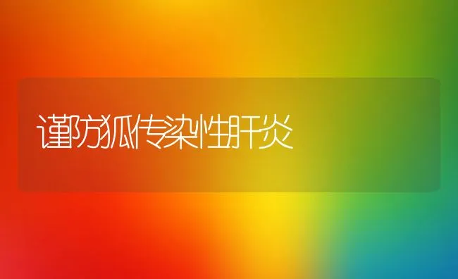 谨防狐传染性肝炎 | 动物养殖学堂