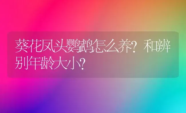 葵花凤头鹦鹉怎么养？和辨别年龄大小？ | 动物养殖问答