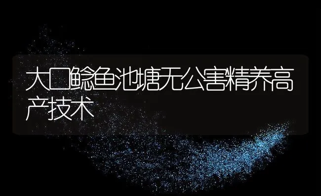 大口鲶鱼池塘无公害精养高产技术 | 动物养殖饲料