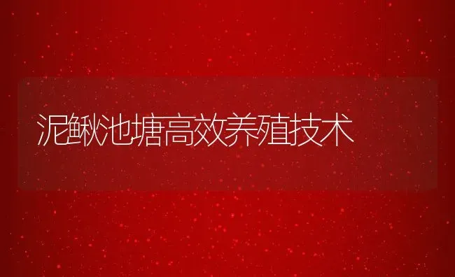 泥鳅池塘高效养殖技术 | 动物养殖百科