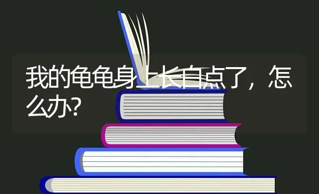 我的龟龟身上长白点了，怎么办？ | 动物养殖问答