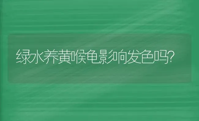 绿水养黄喉龟影响发色吗？ | 动物养殖问答