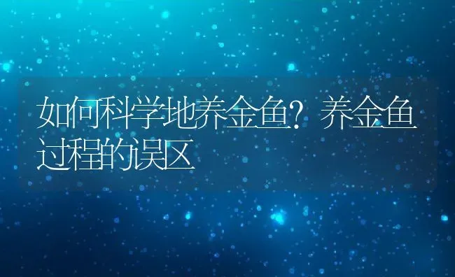 如何科学地养金鱼?养金鱼过程的误区 | 动物养殖百科