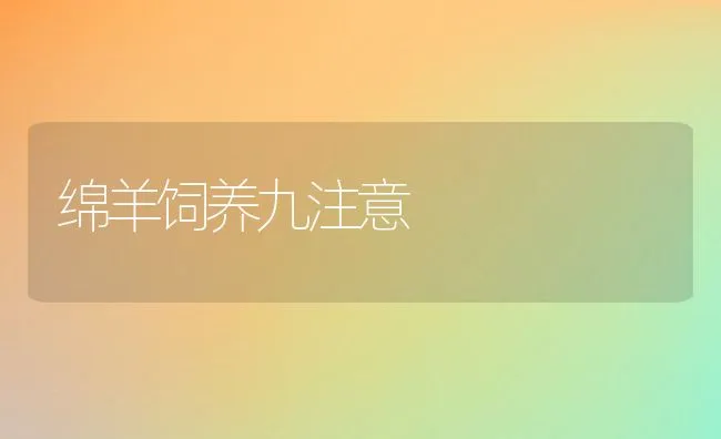 绵羊饲养九注意 | 动物养殖饲料