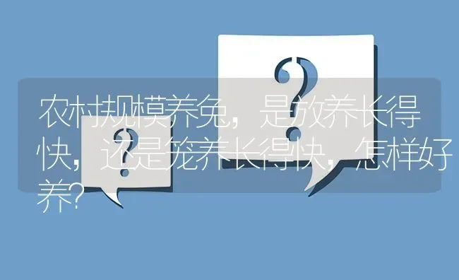 农村规模养兔，是放养长得快，还是笼养长得快，怎样好养？ | 动物养殖问答