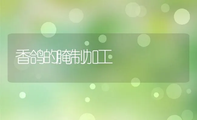 香鸽的腌制加工 | 水产养殖知识