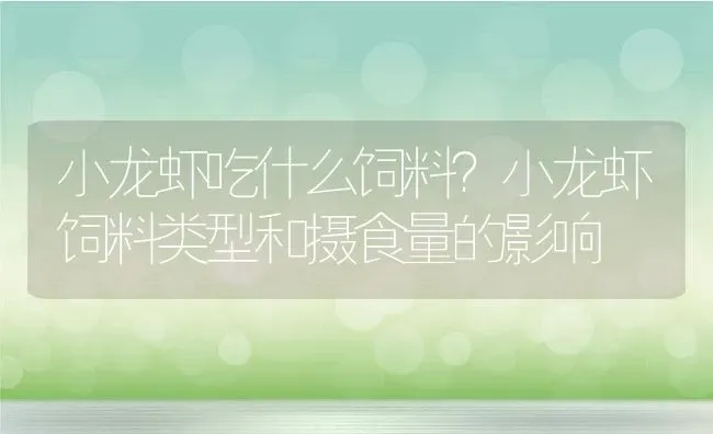 小龙虾吃什么饲料？小龙虾饲料类型和摄食量的影响 | 动物养殖百科