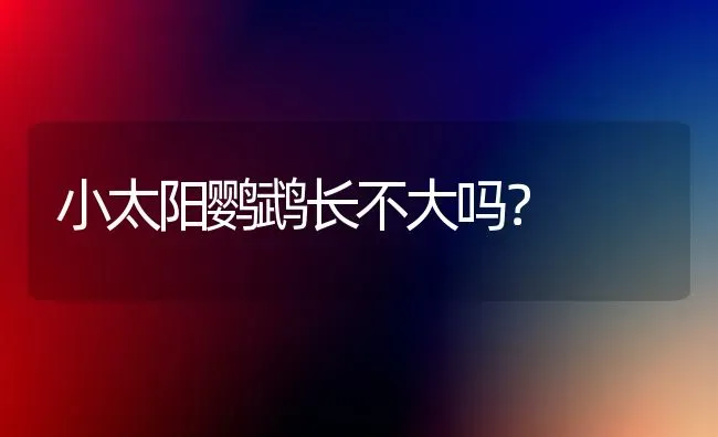 小太阳鹦鹉长不大吗？ | 动物养殖问答