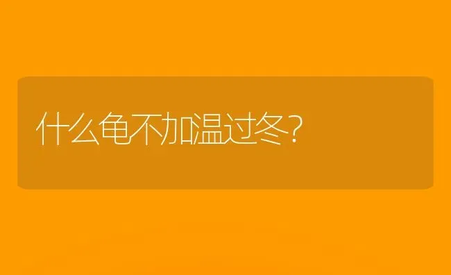 什么龟不加温过冬？ | 动物养殖问答