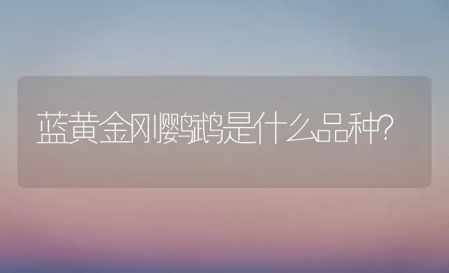 蓝黄金刚鹦鹉是什么品种？ | 动物养殖问答