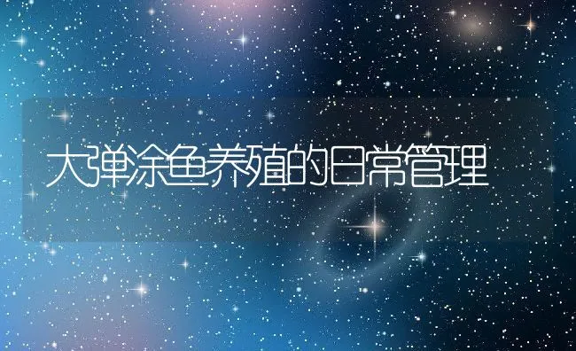 大弹涂鱼养殖的日常管理 | 动物养殖学堂