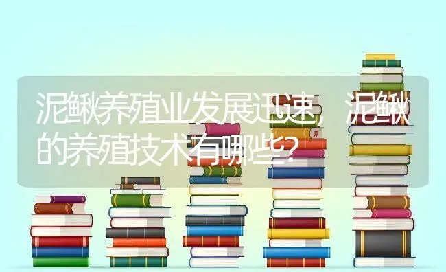 泥鳅养殖业发展迅速，泥鳅的养殖技术有哪些？ | 动物养殖百科