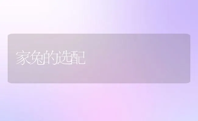 家兔的选配 | 动物养殖学堂