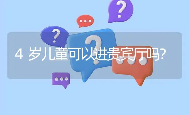 4岁儿童可以进贵宾厅吗？ | 动物养殖问答