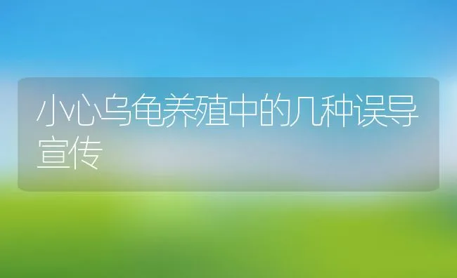 小心乌龟养殖中的几种误导宣传 | 水产养殖知识