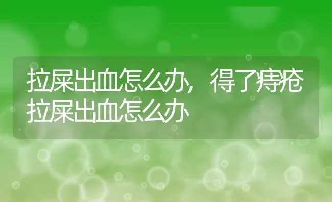 拉屎出血怎么办,得了痔疮拉屎出血怎么办 | 宠物百科知识