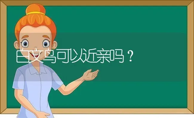 白文鸟可以近亲吗？ | 动物养殖问答