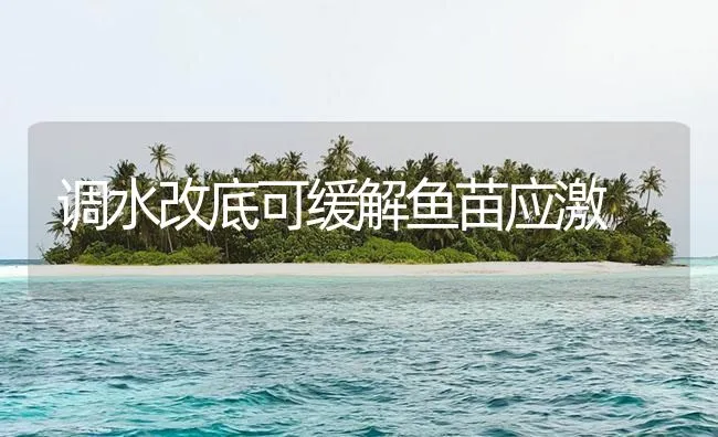 调水改底可缓解鱼苗应激 | 海水养殖技术