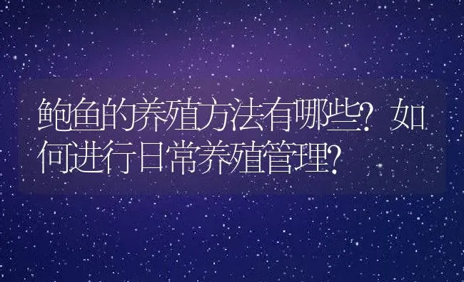 鲍鱼的养殖方法有哪些?如何进行日常养殖管理? | 动物养殖百科