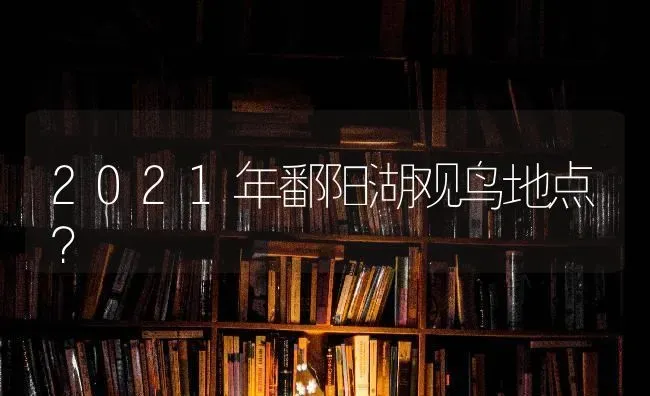 2021年鄱阳湖观鸟地点？ | 动物养殖问答