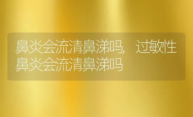 鼻炎会流清鼻涕吗,过敏性鼻炎会流清鼻涕吗 | 宠物百科知识