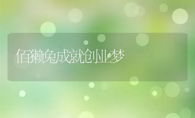 佰獭兔成就创业梦 | 动物养殖教程